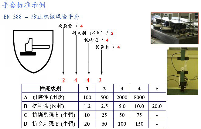 手套標(biāo)準(zhǔn)示例.jpg